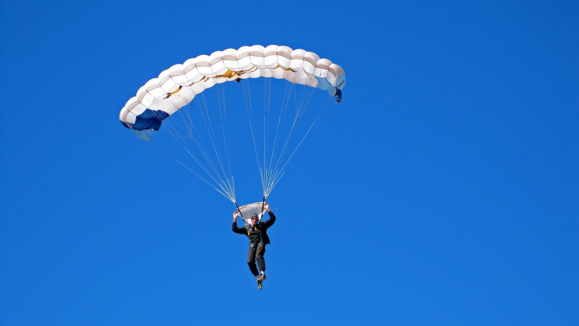 “宠物猫逗猫棒运动赛” 为猫咪与铲屎官设计体能活动
